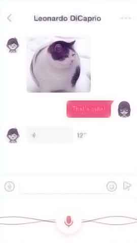 短信验证码轰炸免费